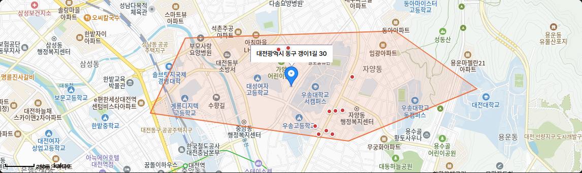 직접 그린 다각형 영역으로 표시된 지도